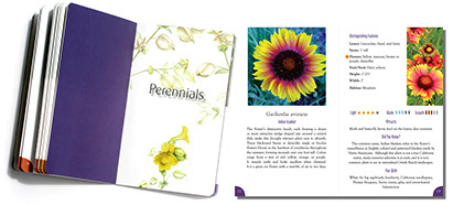 Grizzly Ranch Landscapes Book